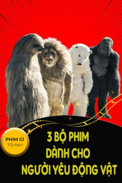 Phim Gì Tối Nay - Tập 101: 3 Bộ Phim Dành Cho Người Yêu Động Vật